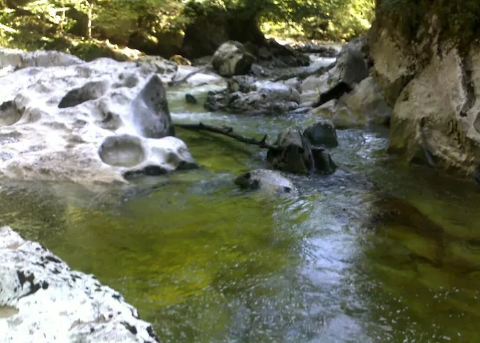 Burgi Kefer Daire Bad Ischl