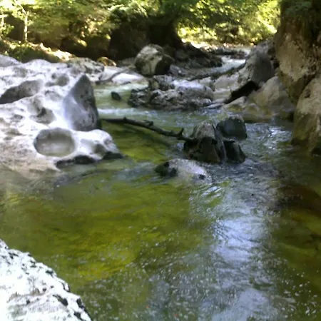 Burgi Kefer Daire Bad Ischl