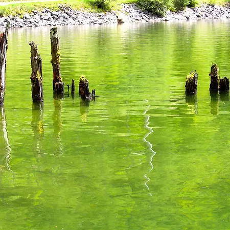 Burgi Kefer Apartment