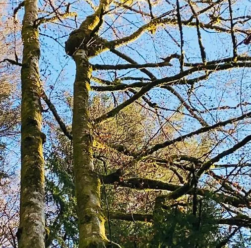 Burgi Kefer Apartment