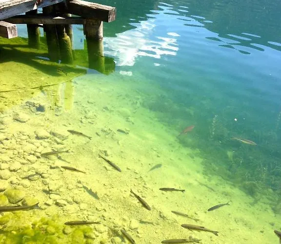 Burgi Kefer Apartment *